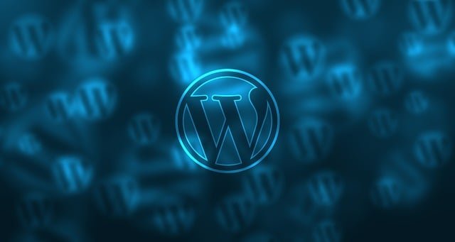 Elección de tema en WordPress